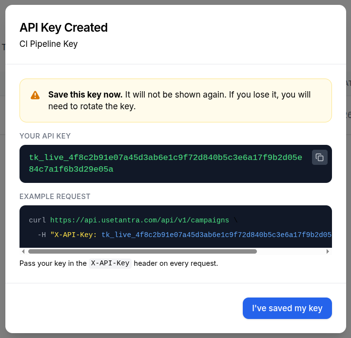 API Key Created dialog showing the new key once with a copy button, an example curl request using the X-API-Key header, and the I've saved my key button